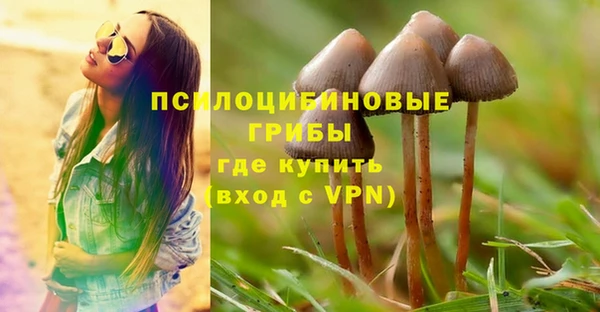 дживик Армянск