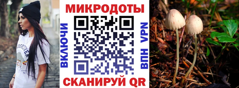 Псилоцибиновые грибы мухоморы  Сясьстрой 